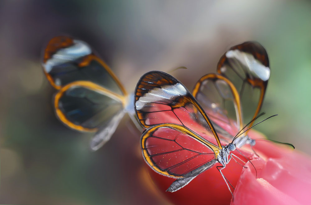 3d Animation and Special Effect 3d Animation and Special Effect